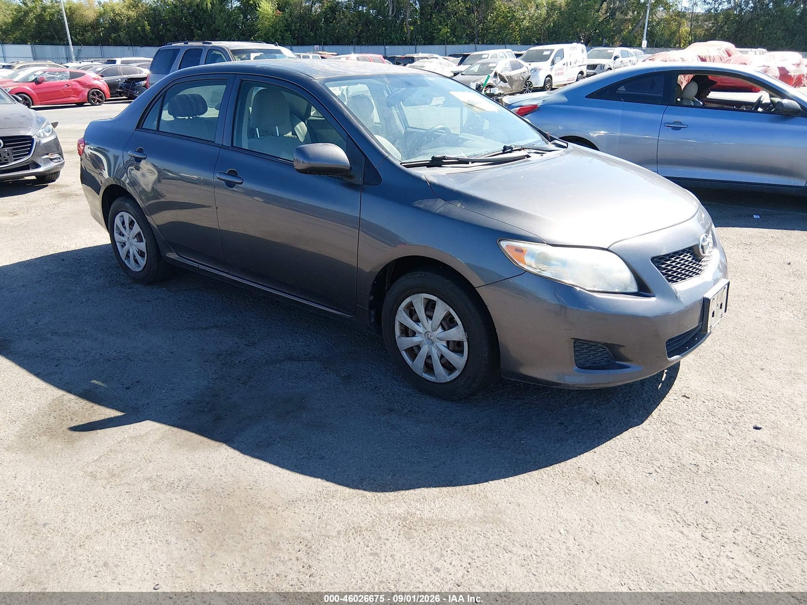 2010 TOYOTA COROLLA LE