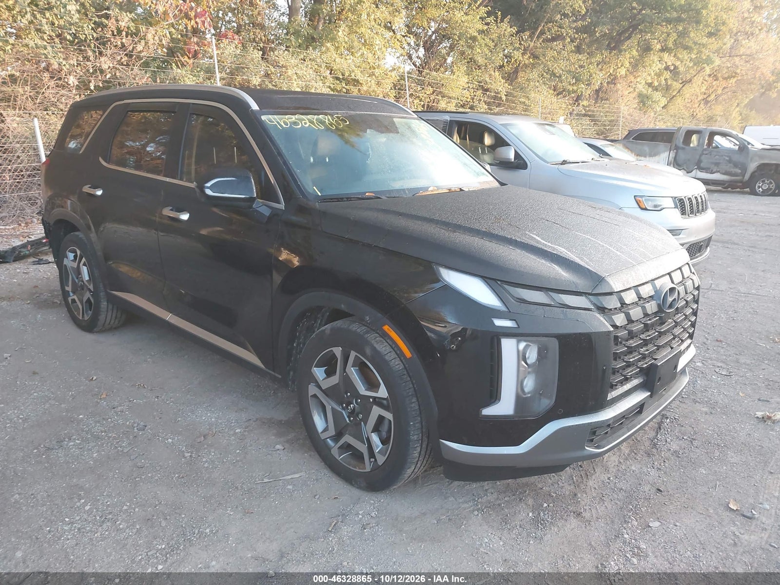 2025 HYUNDAI PALISADE SEL PREMIUM 8P