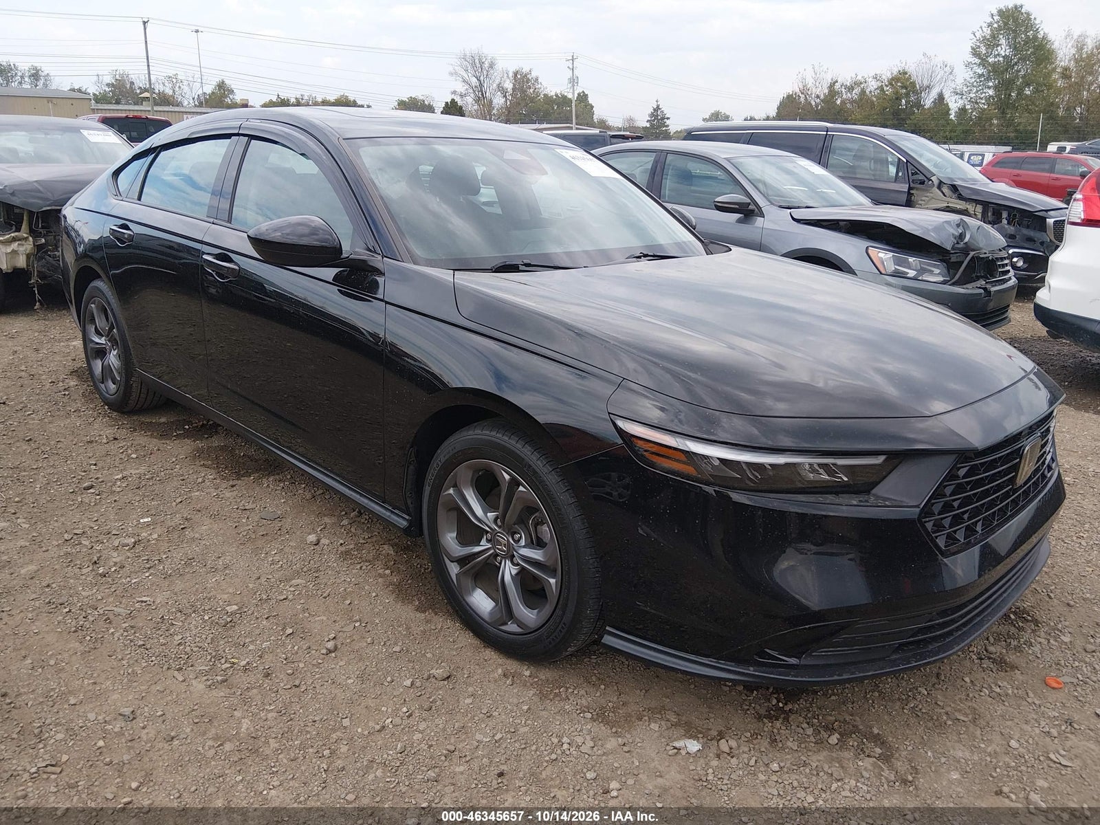 2024 HONDA ACCORD EX