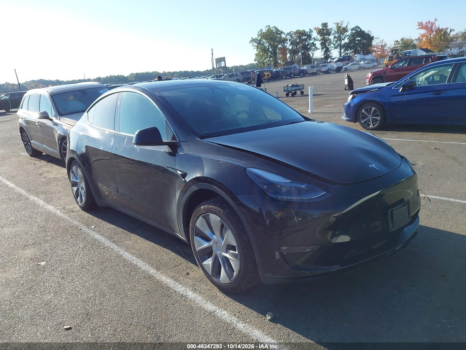2023 TESLA MODEL Y