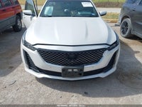 Şəkil 12