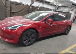 Thumbnail 13