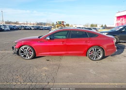 Thumbnail 15