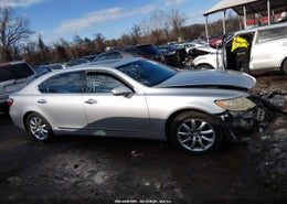 Thumbnail 14
