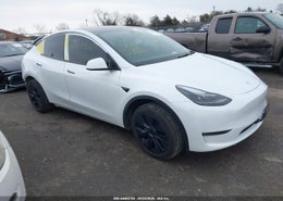 2025 Tesla Model Y