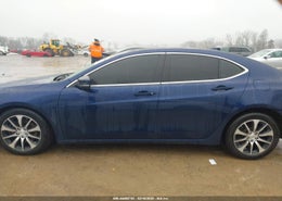 Thumbnail 14