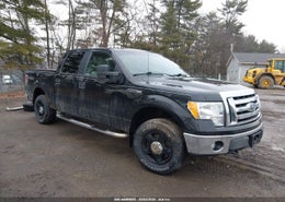 2010 Ford F-150