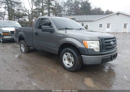 2009 Ford F-150