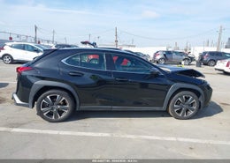 Thumbnail 13