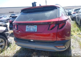 Thumbnail 16