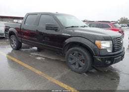 2010 Ford F-150