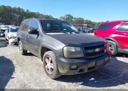 2007 Chevrolet Trailblazer