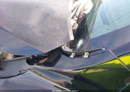 Thumbnail 17
