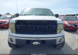 Thumbnail 12