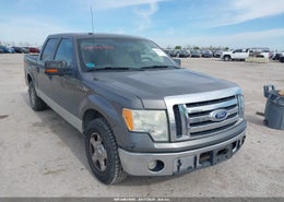 2010 Ford F-150