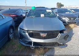 Thumbnail 13