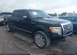 2010 Ford F-150