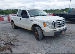 2010 Ford F-150