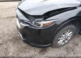 Thumbnail 17