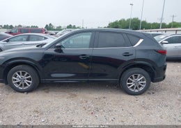 Thumbnail 14