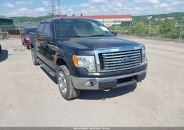 2010 Ford F-150