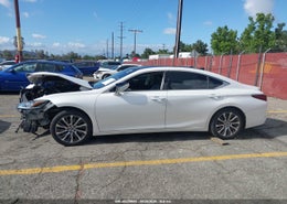 Thumbnail 14