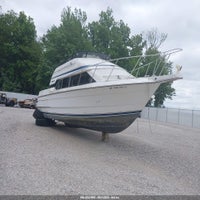 1991 Triumph 31 Ft Boat