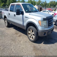 2009 Ford F-150 Fx4/King Ranch/Lariat/Platinum/Xl/Xlt