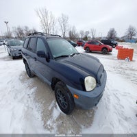2004 Hyundai Santa Fe Gls/Lx