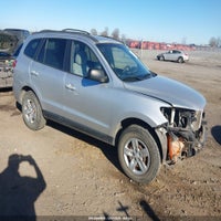 2009 Hyundai Santa Fe Gls