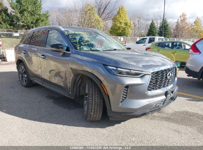 2024 Infiniti Qx60 Luxe