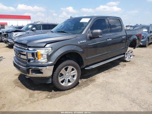 2019 FORD F-150 XLT