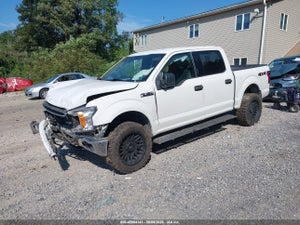 2019 FORD F-150 XLT