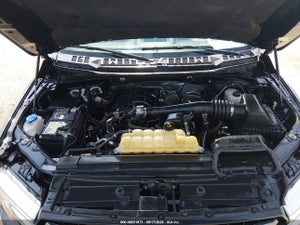 2019 FORD F-150 XL/XLT