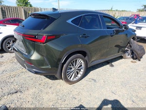 2024 LEXUS NX 350 LUXURY