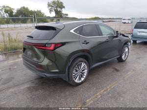 2025 LEXUS NX 350H PREMIUM
