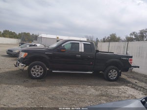 2013 FORD F-150 XLT