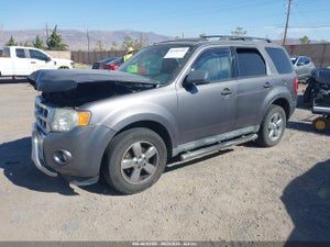 2011 FORD ESCAPE XLT