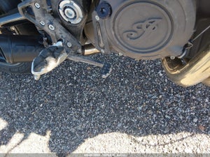 2024 INDIAN MOTORCYCLE CO. FTR X 100% R CARBON