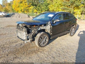 2024 TOYOTA VENZA XLE