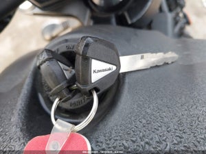 2026 KAWASAKI EN650 D
