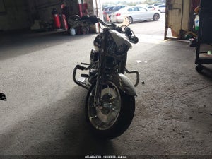 2025 HARLEY-DAVIDSON FLSTFI