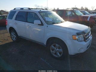 2010 Ford Escape