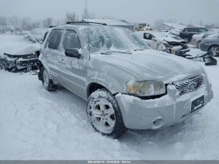2007 Ford Escape