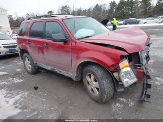2010 Ford Escape