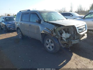 2010 Honda Pilot