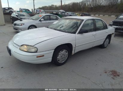 2000 CHEVROLET LUMINA White  Gasoline 2G1WL52J1Y1301471 photo #3