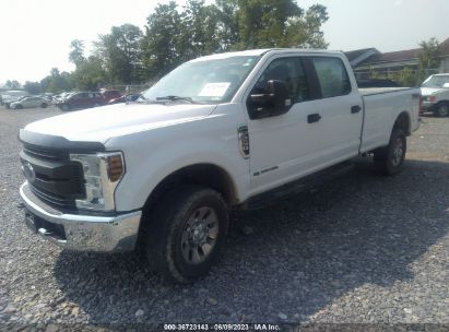 2019 FORD F-250 XL White  Diesel 1FT7W2BT7KEC75211 photo #3