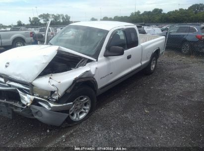 2001 DODGE DAKOTA SLT/SPORT White  Gasoline 1B7GL22X11S278567 photo #3