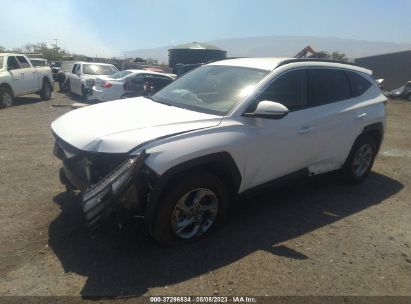 2023 HYUNDAI TUCSON SEL White  Gasoline 5NMJBCAE3PH182474 photo #3